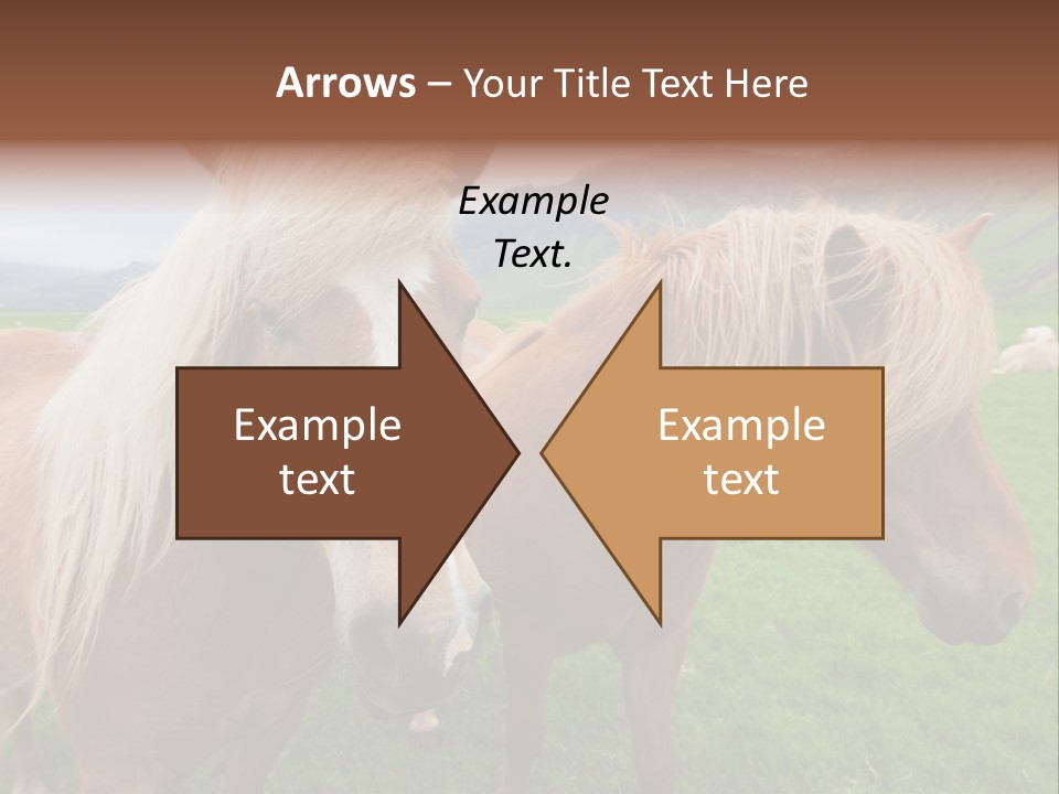 Coat Chestnut Breeding PowerPoint Template