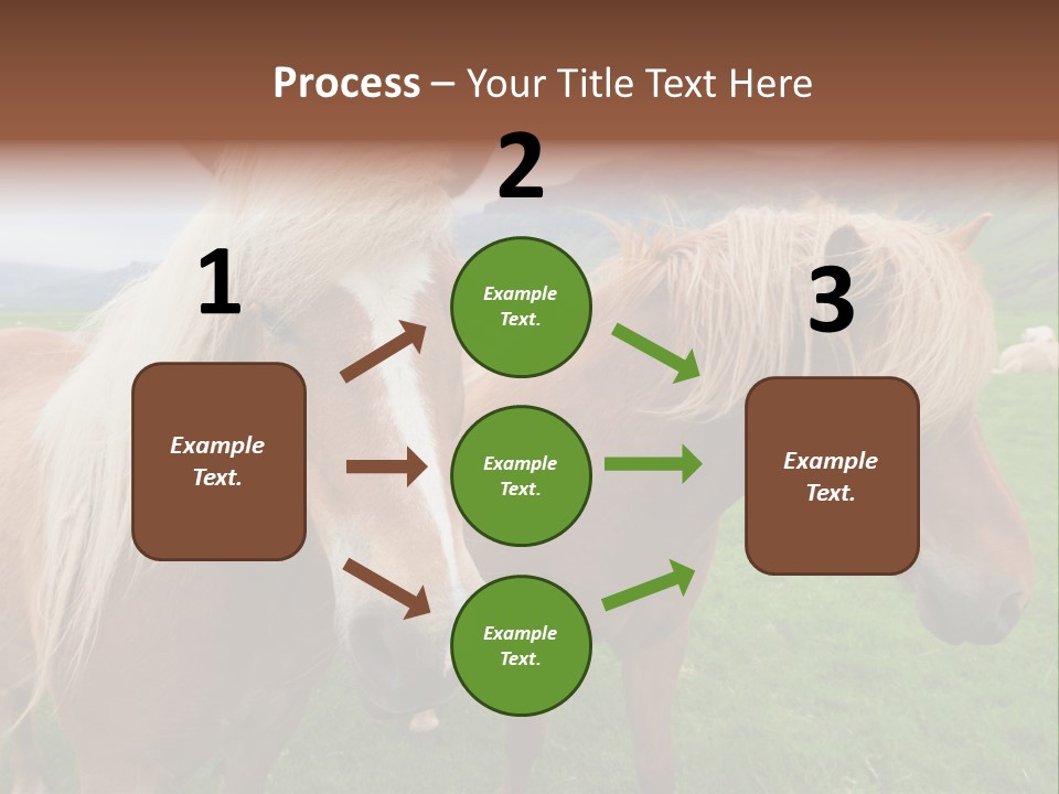 Coat Chestnut Breeding PowerPoint Template