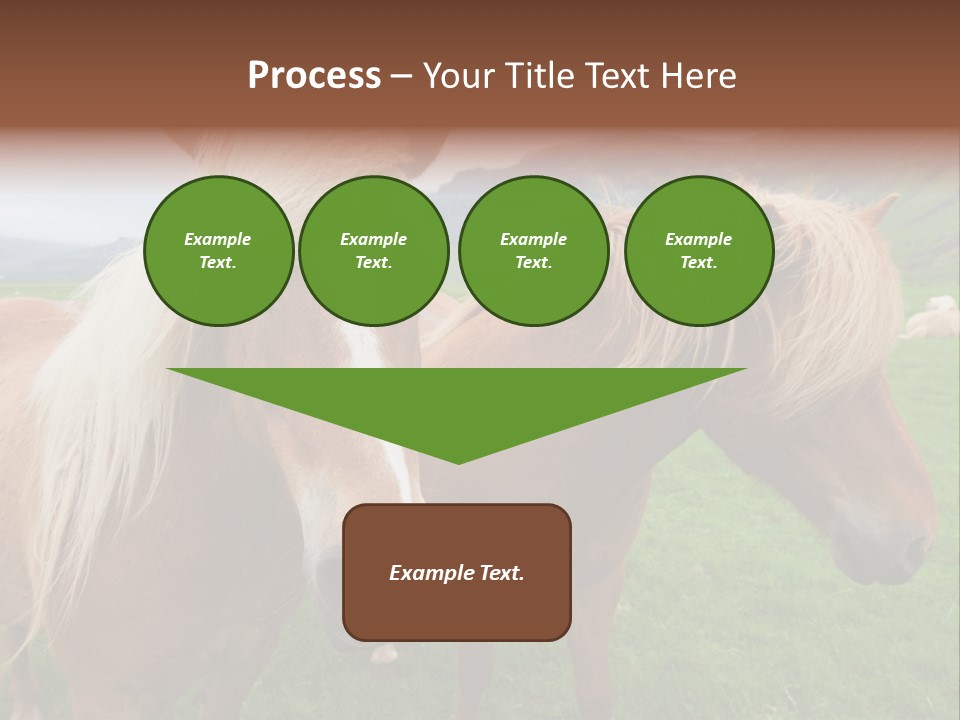 Coat Chestnut Breeding PowerPoint Template