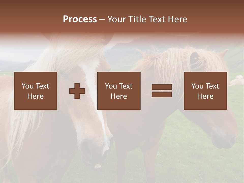 Coat Chestnut Breeding PowerPoint Template