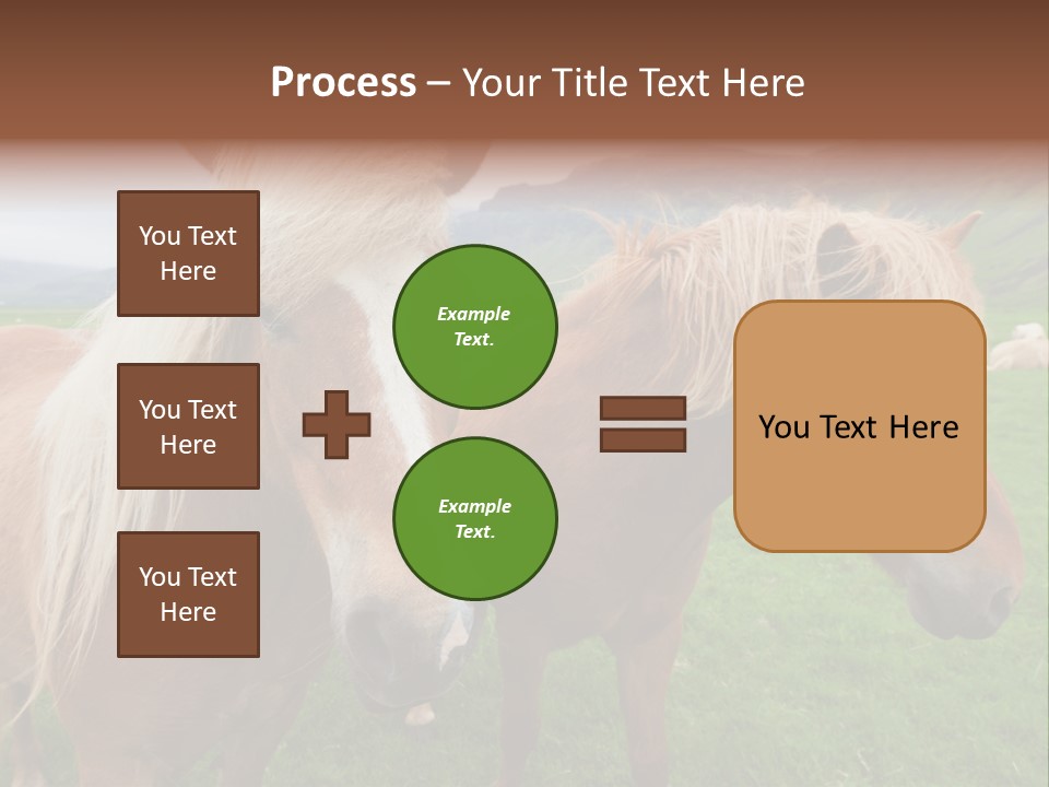 Coat Chestnut Breeding PowerPoint Template