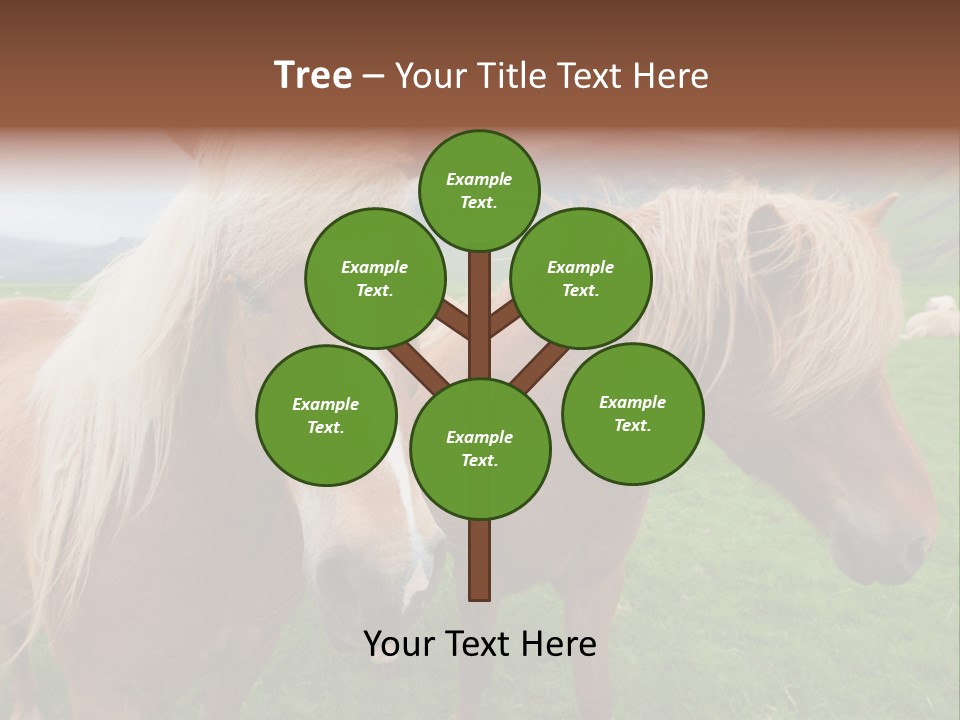 Coat Chestnut Breeding PowerPoint Template