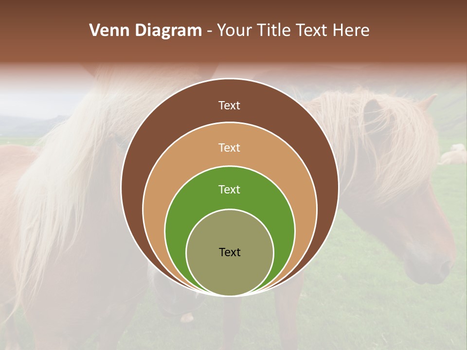 Coat Chestnut Breeding PowerPoint Template