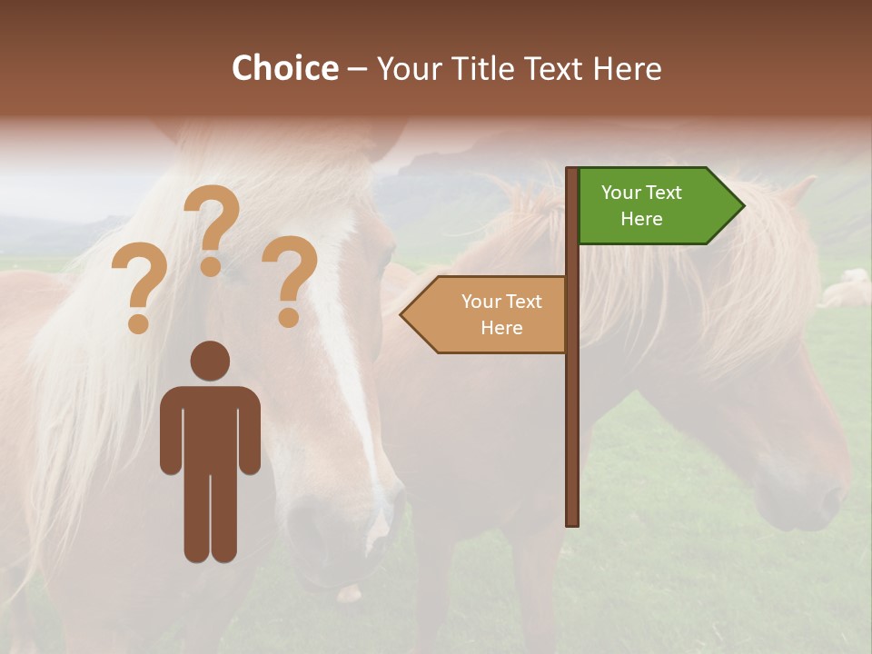 Coat Chestnut Breeding PowerPoint Template