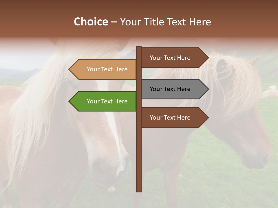 Coat Chestnut Breeding PowerPoint Template