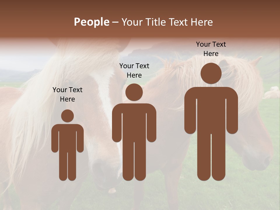 Coat Chestnut Breeding PowerPoint Template