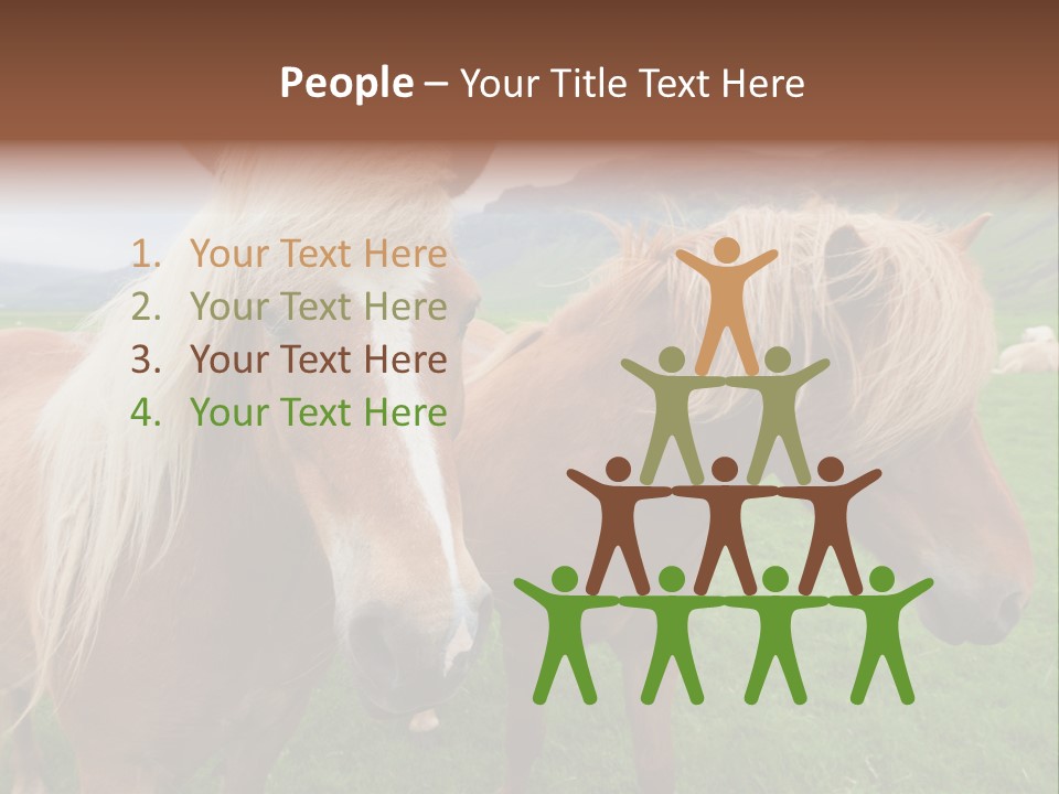 Coat Chestnut Breeding PowerPoint Template