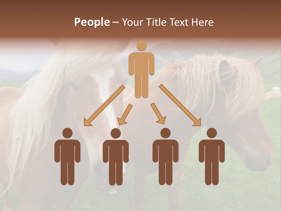 Coat Chestnut Breeding PowerPoint Template