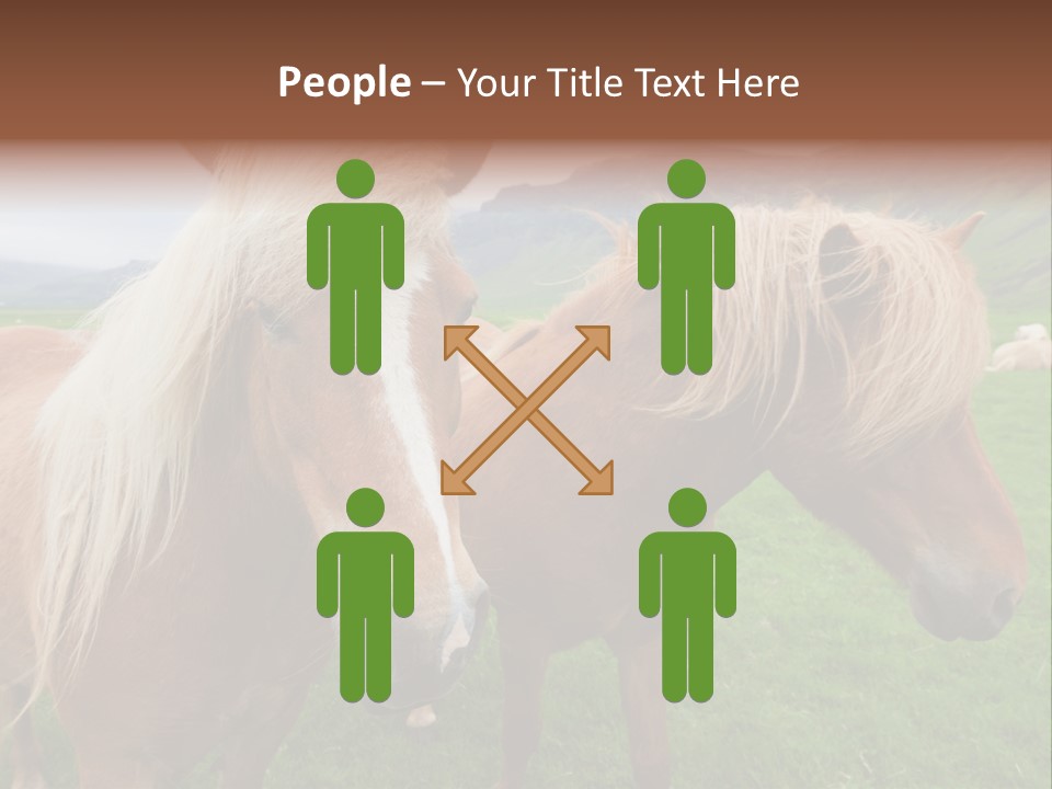 Coat Chestnut Breeding PowerPoint Template