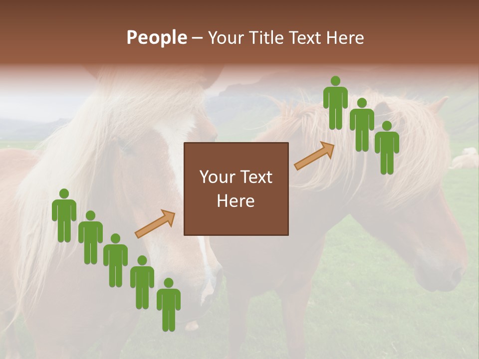 Coat Chestnut Breeding PowerPoint Template