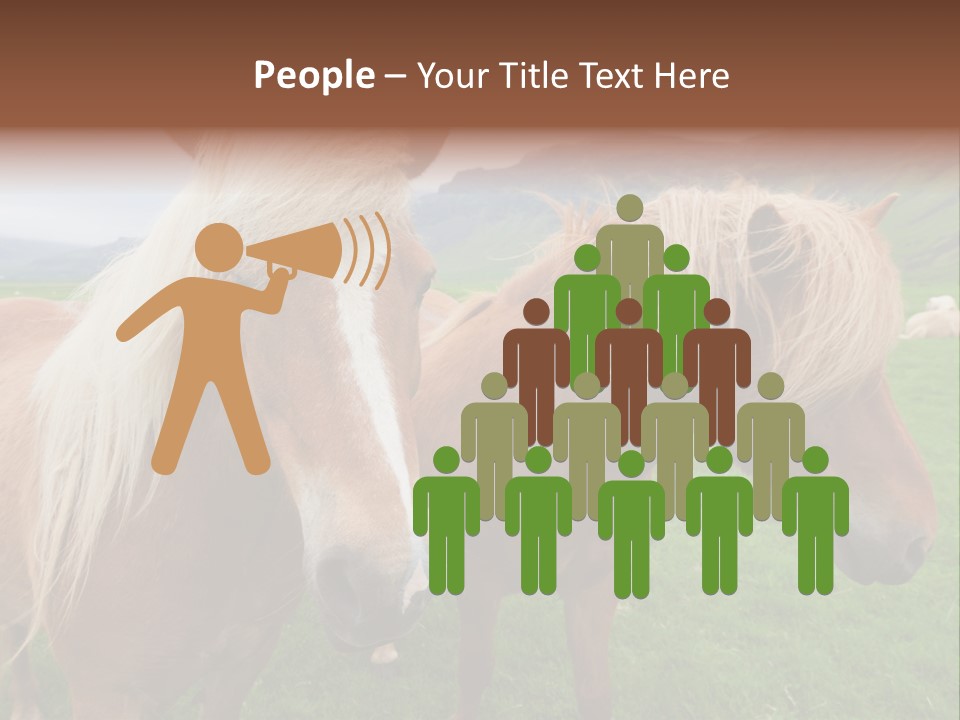 Coat Chestnut Breeding PowerPoint Template