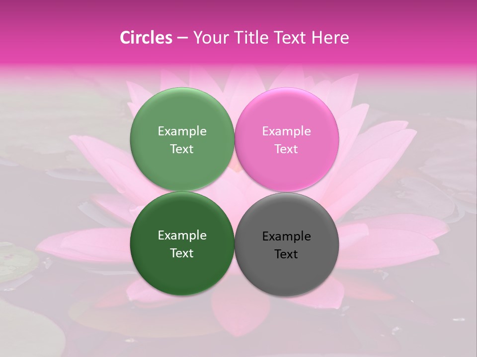 Natural Wet Pure PowerPoint Template