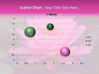 Natural Wet Pure PowerPoint Template