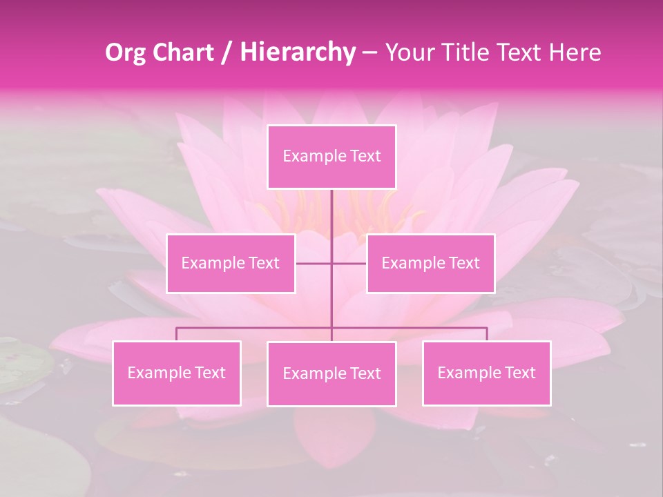 Natural Wet Pure PowerPoint Template