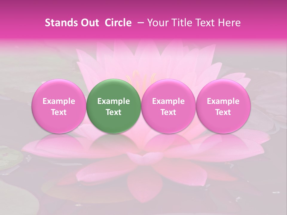 Natural Wet Pure PowerPoint Template