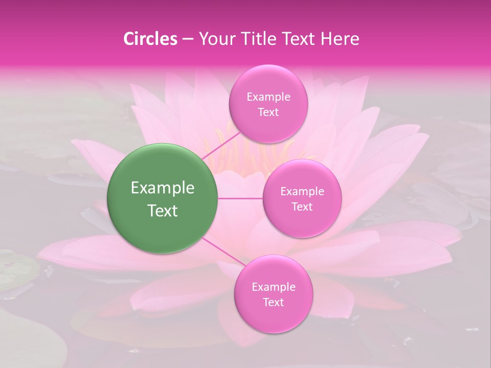 Natural Wet Pure PowerPoint Template