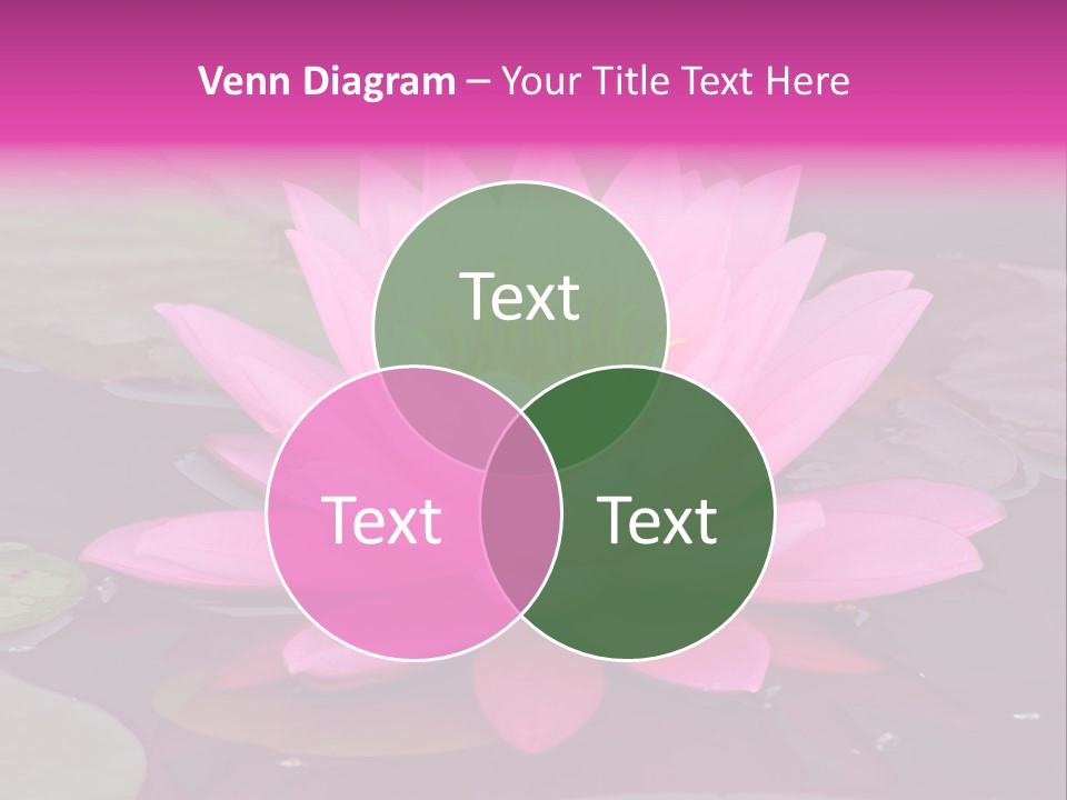 Natural Wet Pure PowerPoint Template