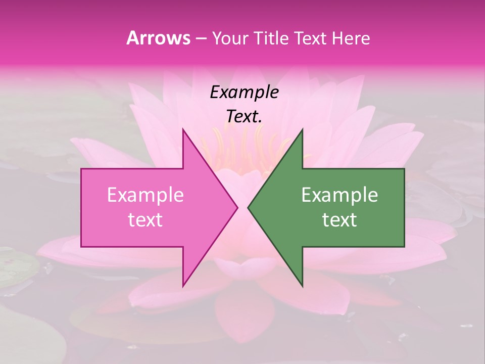 Natural Wet Pure PowerPoint Template