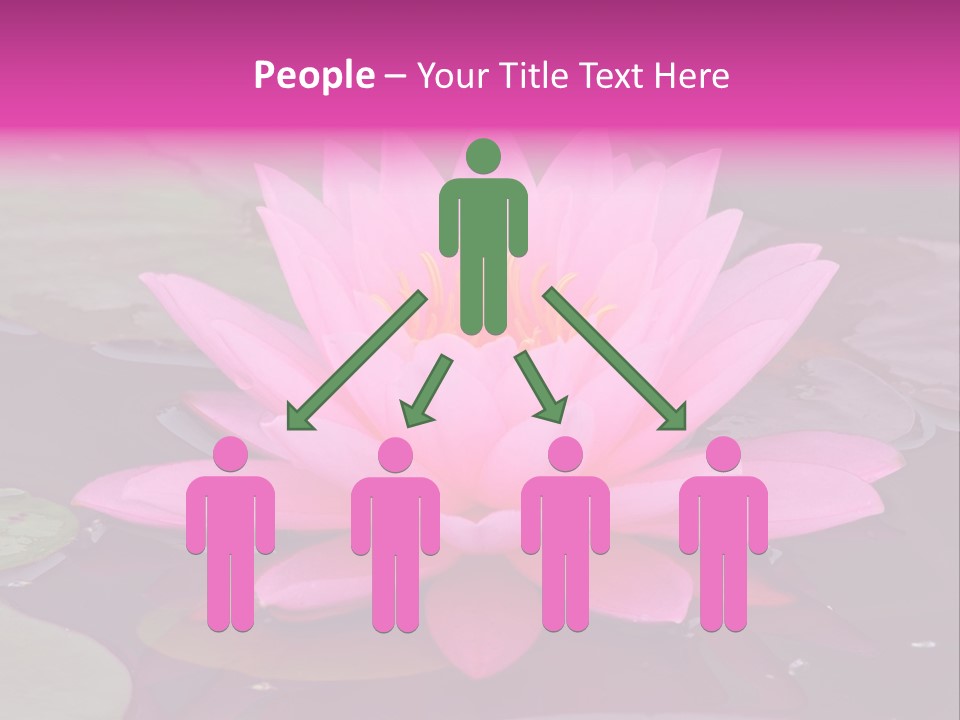 Natural Wet Pure PowerPoint Template