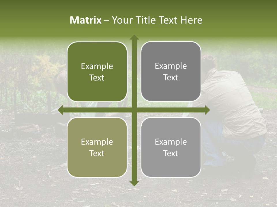 Island Nature Relief PowerPoint Template