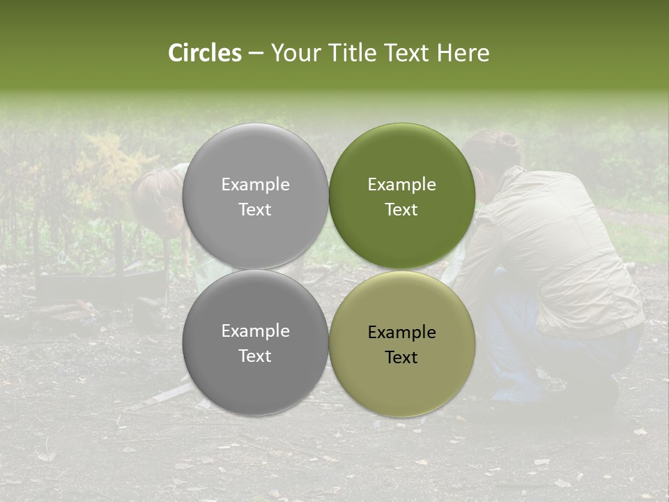 Island Nature Relief PowerPoint Template