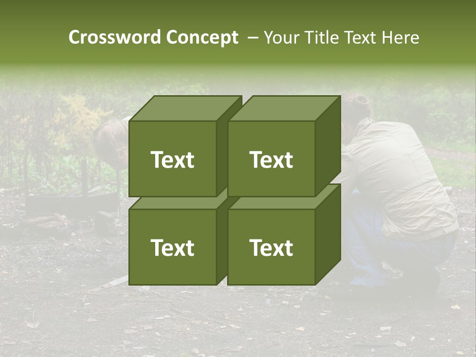 Island Nature Relief PowerPoint Template