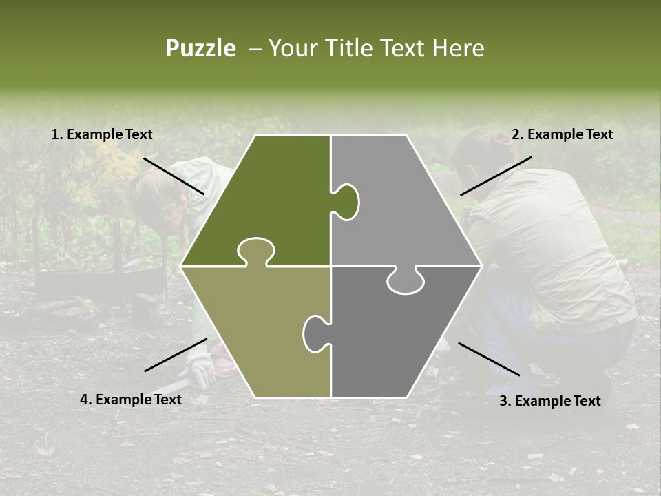 Island Nature Relief PowerPoint Template