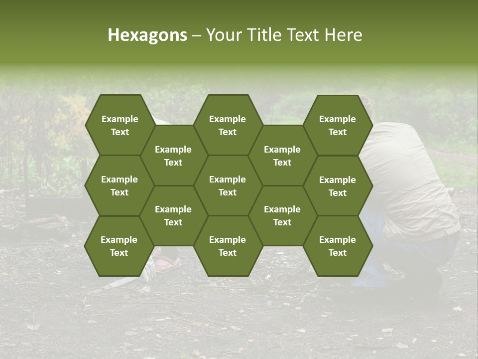 Island Nature Relief PowerPoint Template