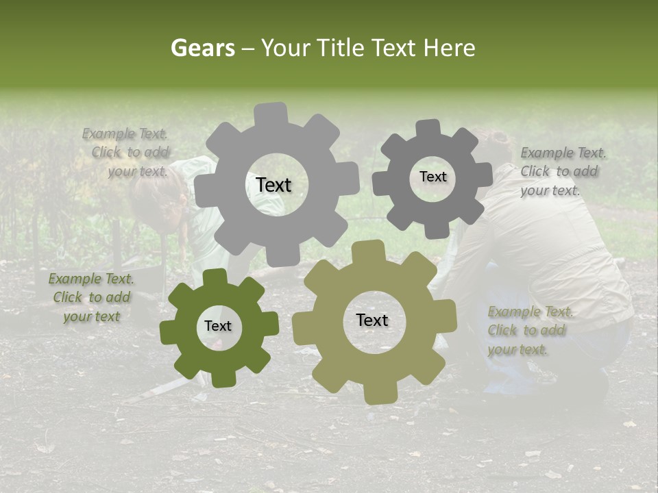 Island Nature Relief PowerPoint Template