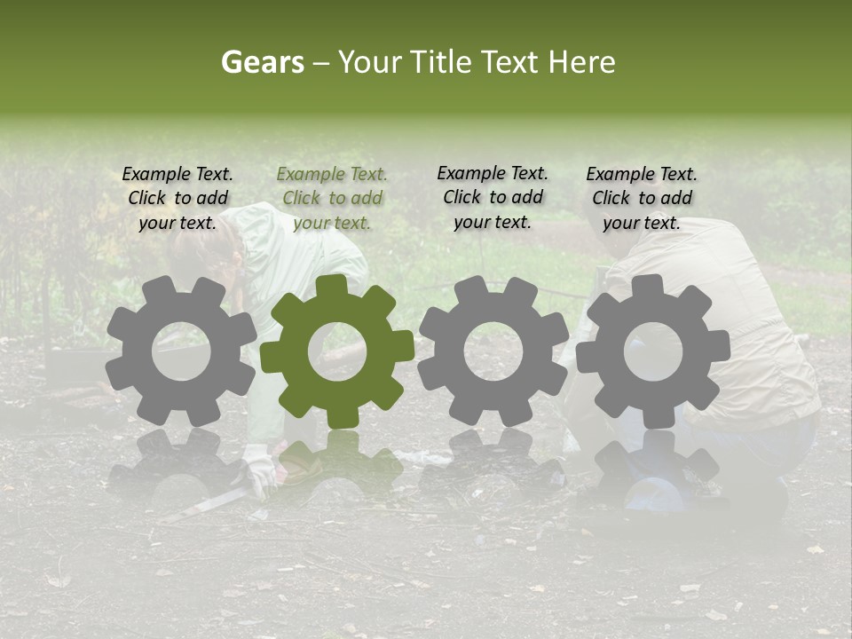 Island Nature Relief PowerPoint Template