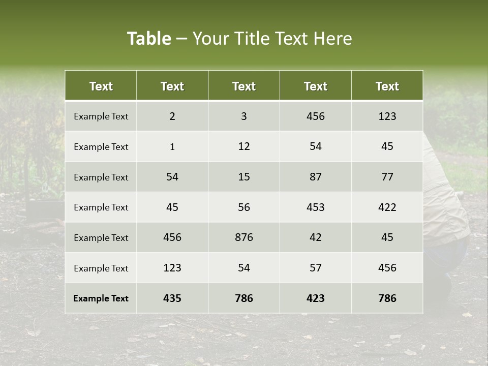 Island Nature Relief PowerPoint Template