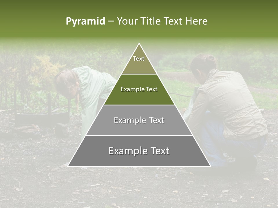 Island Nature Relief PowerPoint Template
