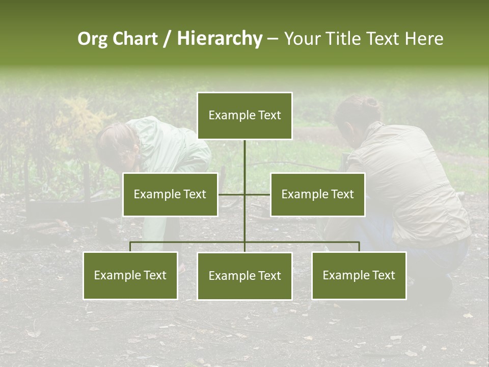 Island Nature Relief PowerPoint Template