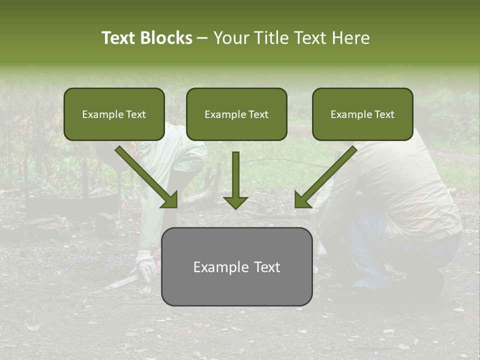 Island Nature Relief PowerPoint Template
