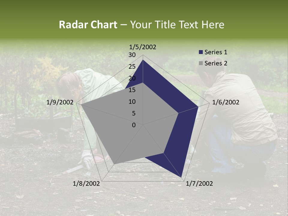 Island Nature Relief PowerPoint Template