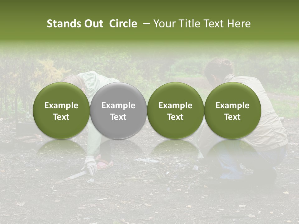Island Nature Relief PowerPoint Template