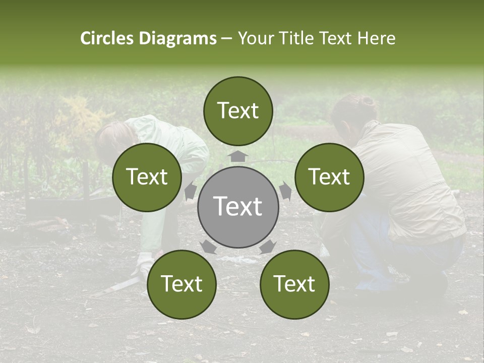 Island Nature Relief PowerPoint Template