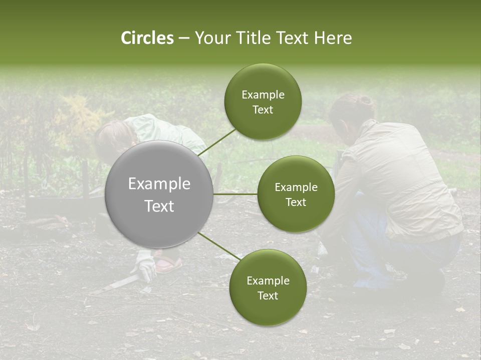 Island Nature Relief PowerPoint Template