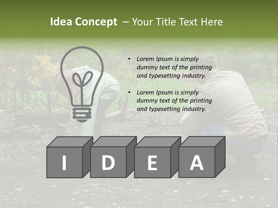 Island Nature Relief PowerPoint Template