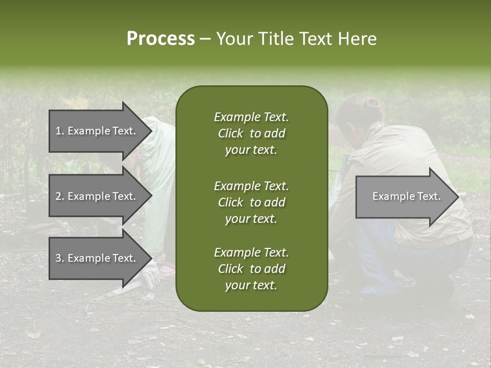 Island Nature Relief PowerPoint Template