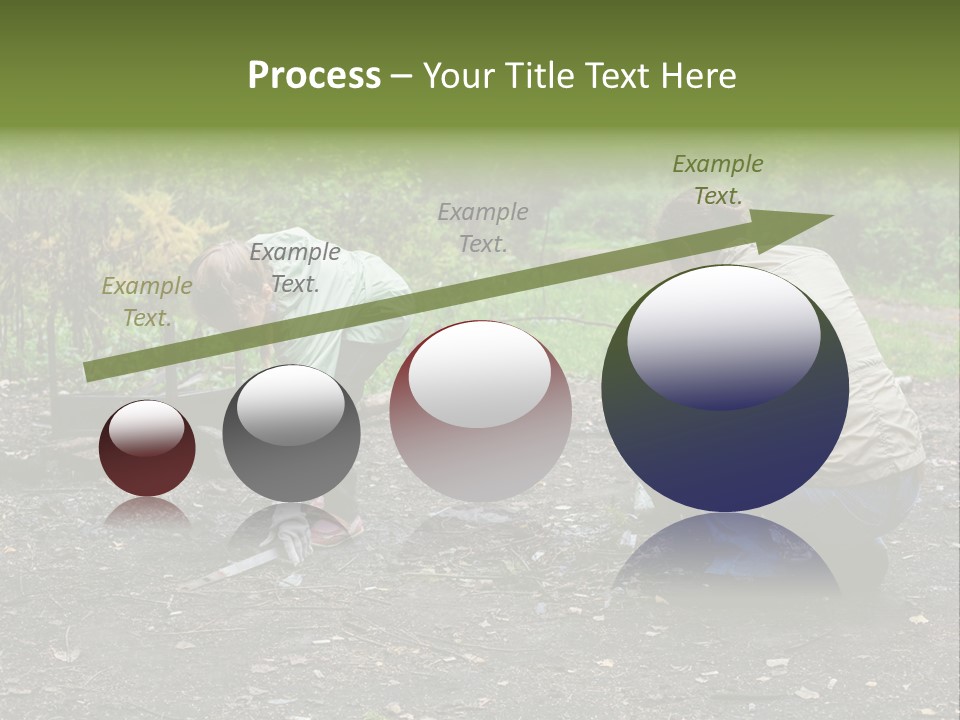 Island Nature Relief PowerPoint Template