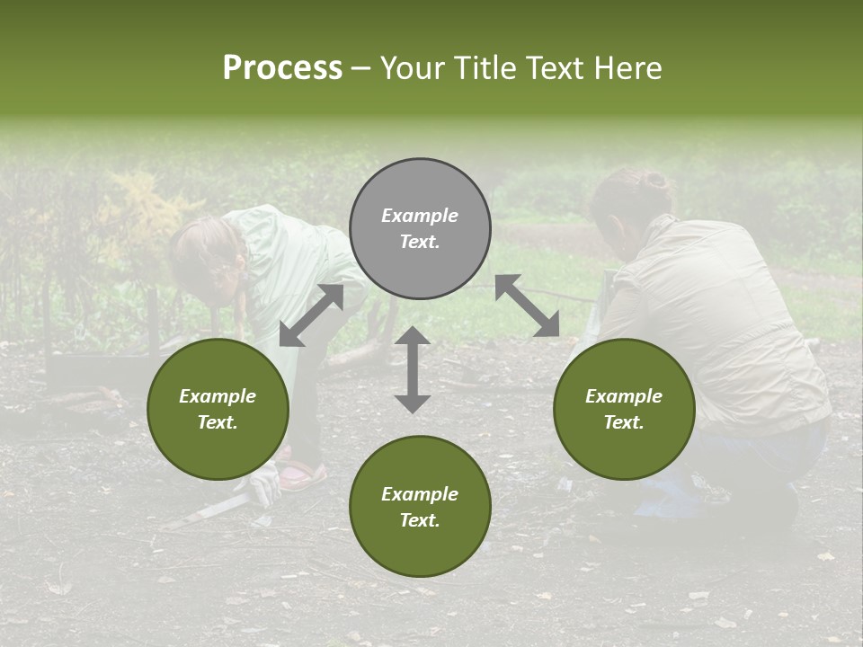 Island Nature Relief PowerPoint Template