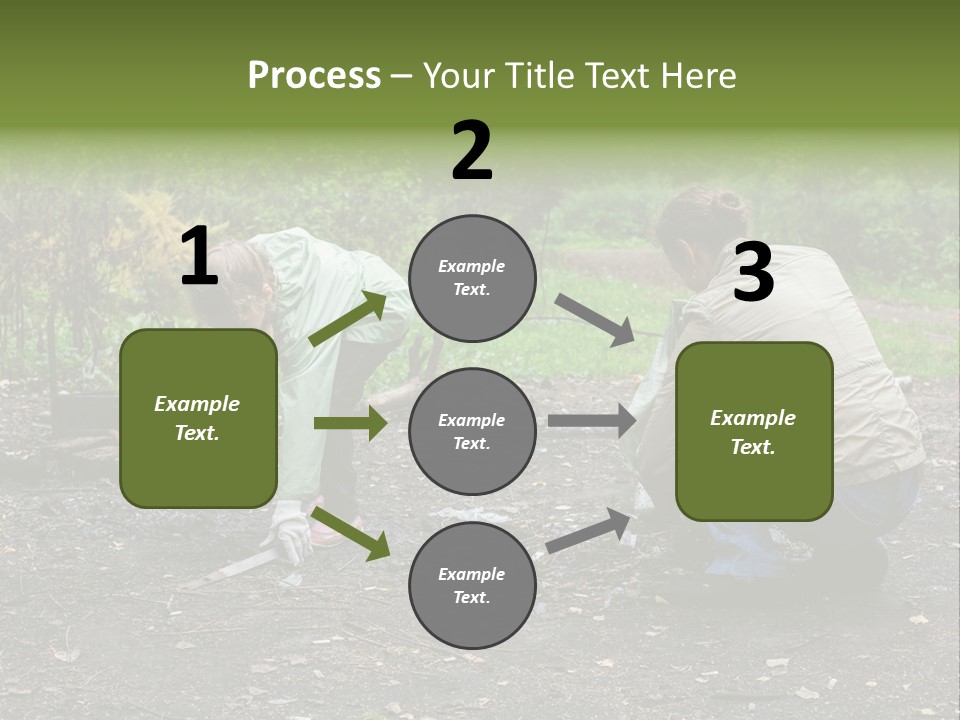 Island Nature Relief PowerPoint Template