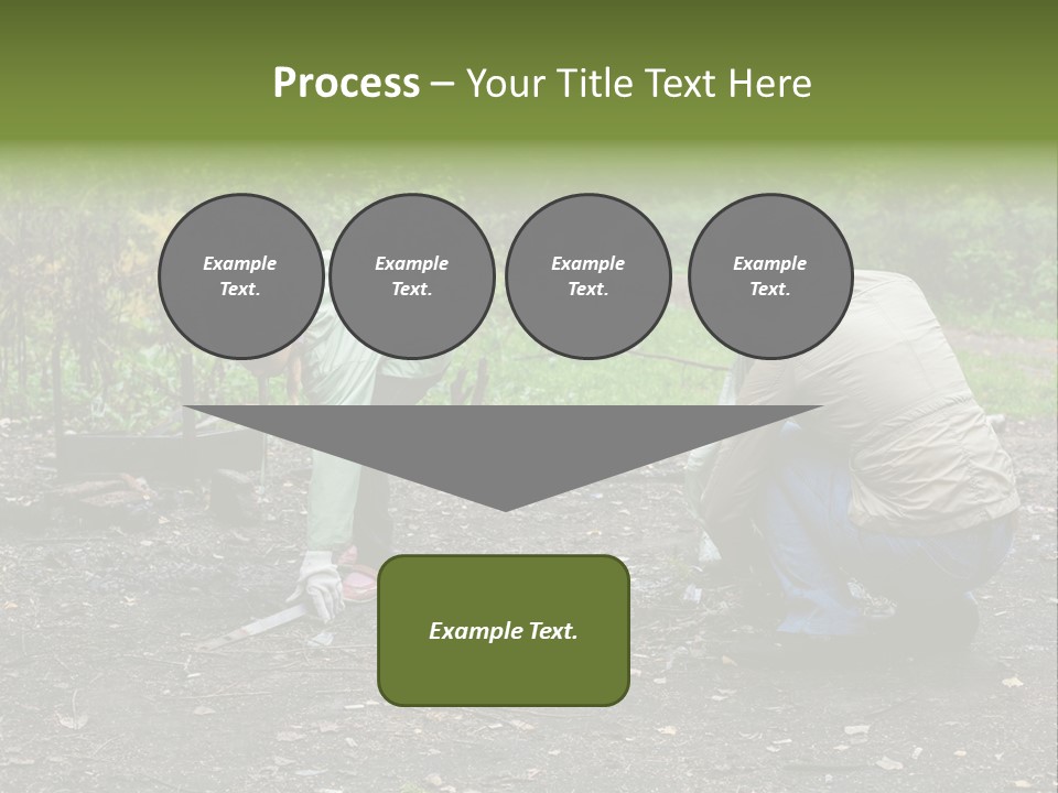 Island Nature Relief PowerPoint Template