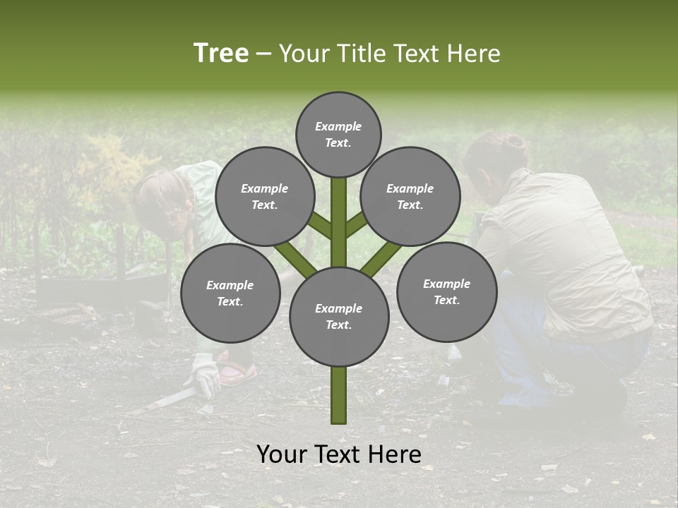 Island Nature Relief PowerPoint Template