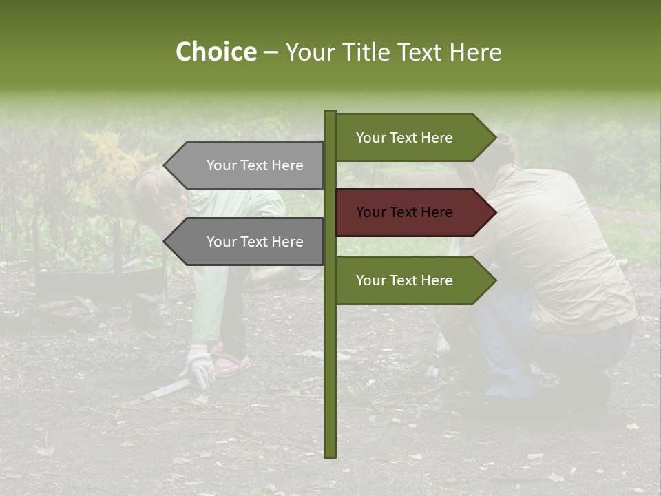 Island Nature Relief PowerPoint Template
