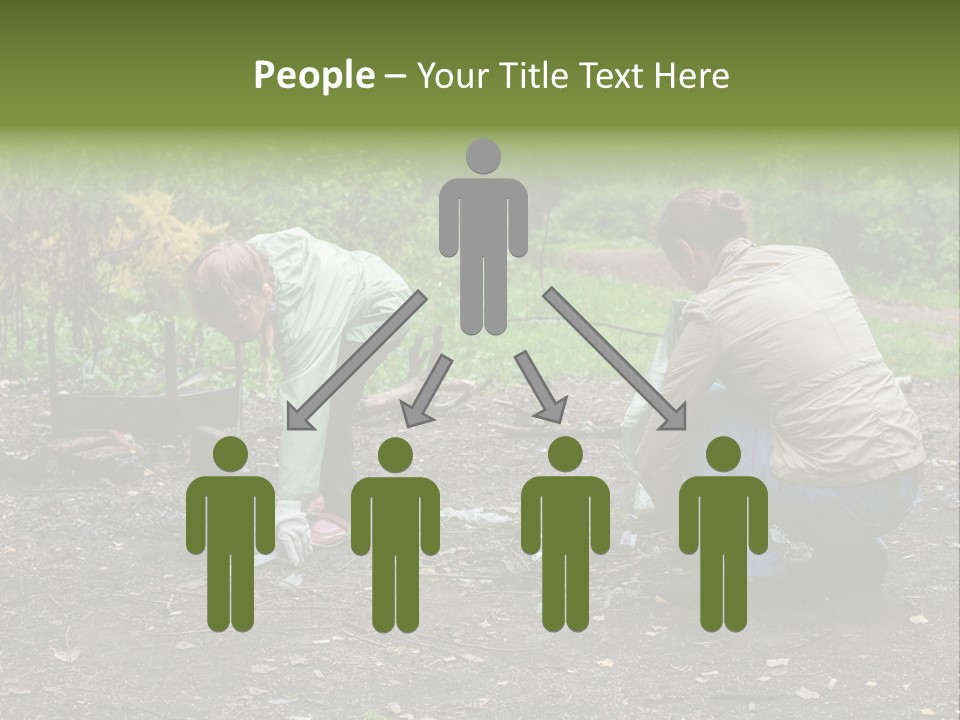 Island Nature Relief PowerPoint Template