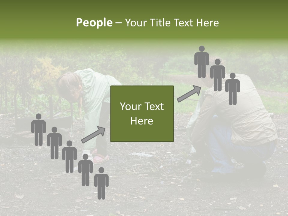 Island Nature Relief PowerPoint Template