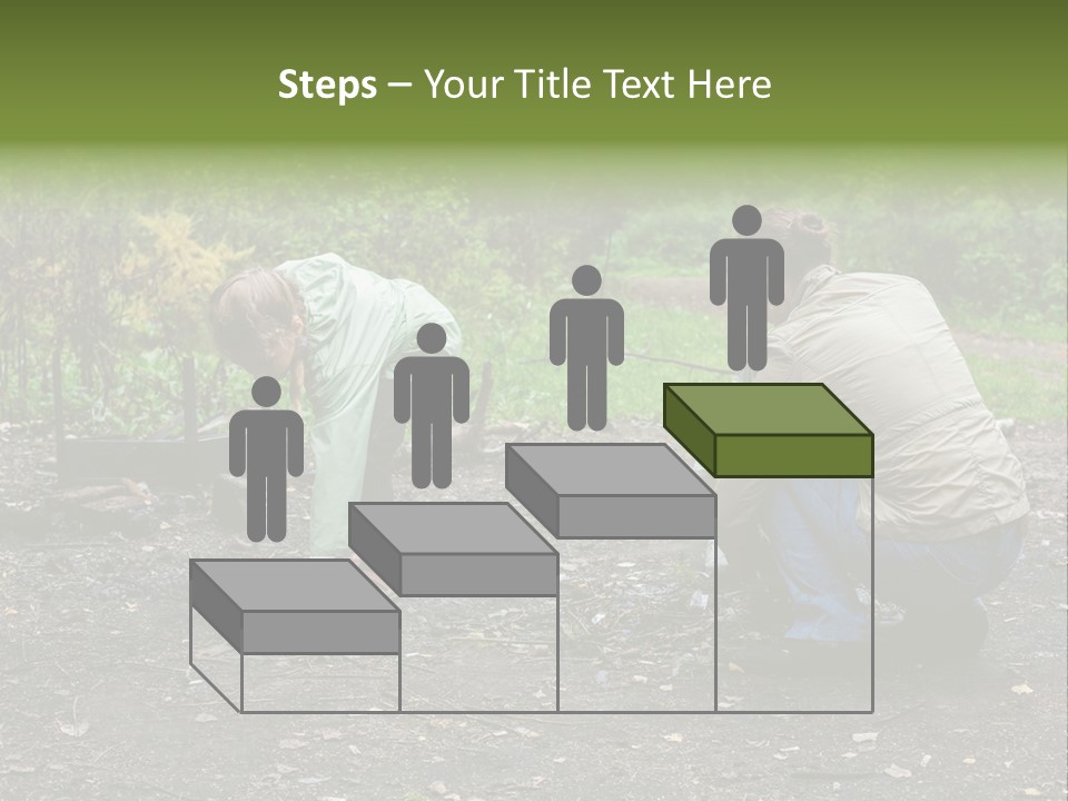 Island Nature Relief PowerPoint Template