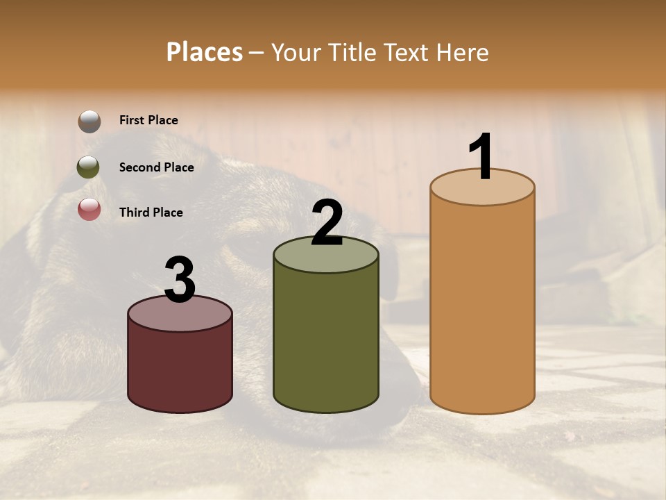 A Dog Laying On The Ground With A Name Plate PowerPoint Template